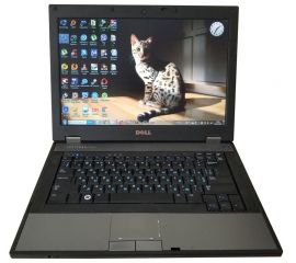  Ноутбук Dell Latitude E5410 14" i5 4GB RAM 320GB HDD, фото 1 