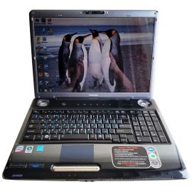  Ноутбук Toshiba Satellite P305 17" 4GB RAM 160GB HDD, фото 1 