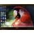  Ноутбук Dell Latitude D620 ATG 14" 4GB RAM 160GB HDD, фото 2 