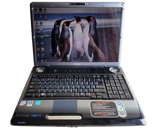  Ноутбук Toshiba Satellite P305 17" 4GB RAM 160GB HDD, фото 1 